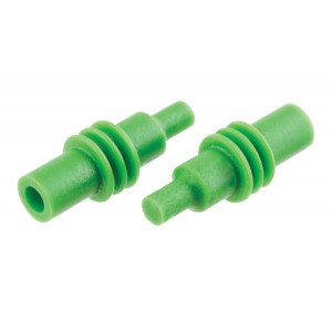 Cavity Plug