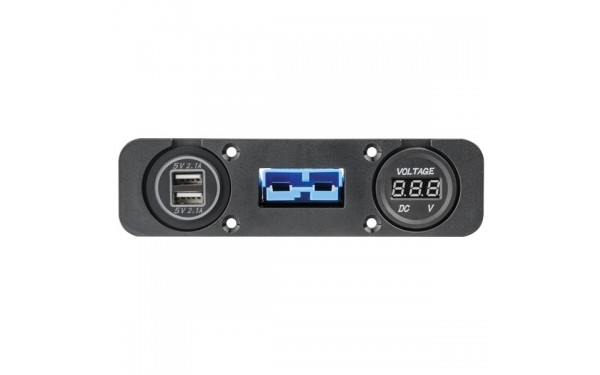 Single Panle mount with 2 Accessory Cutouts